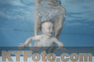 Photo 4263804