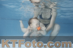 Photo 4263807