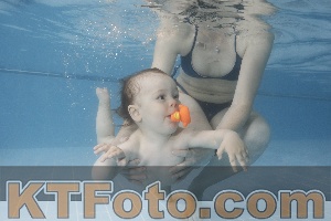 Foto 4263808
