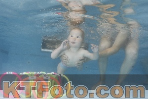 Foto 4263818
