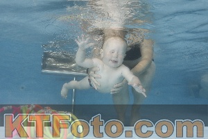 Foto 4263820