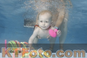 Photo 4263828