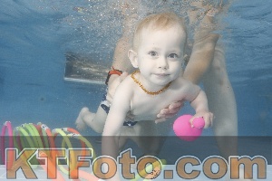 Photo 4263829