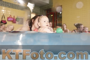 Photo 4263830