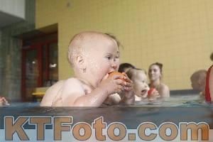 Photo 4263838