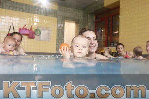 Photo 4263849