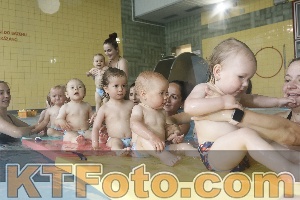 Photo 4263886