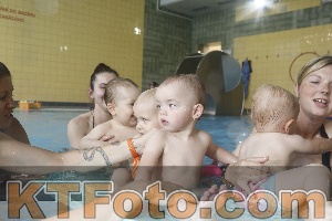 Photo 4263895