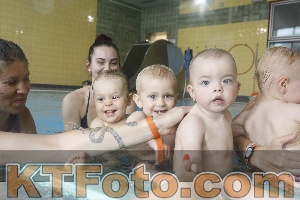 Photo 4263896