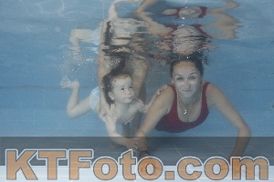 Photo 4263925