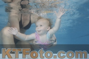 Foto 4263991