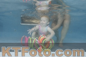 Foto 4264008