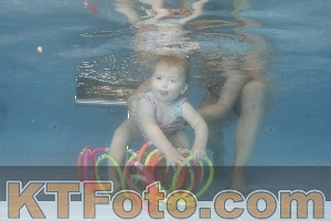 Foto 4264009