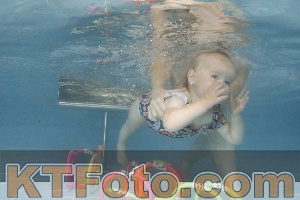Foto 4264012