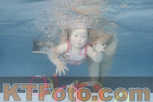 Foto 4264013