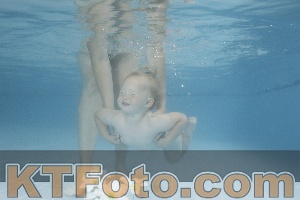 Photo 4264169