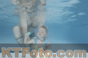 Photo 4264179