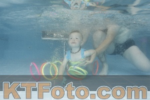 Photo 4264192