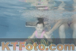 Photo 4264193