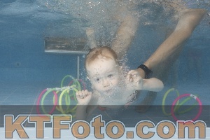 Photo 4264198