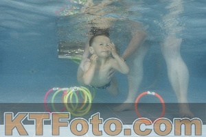 Photo 4264199