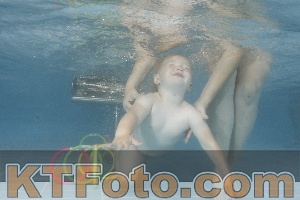 Photo 4264202