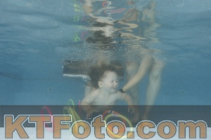 Photo 4264203