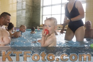 Photo 4264234