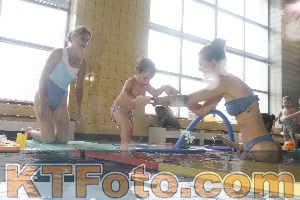 Photo 4264277