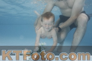 Photo 4264352