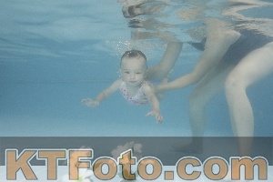Photo 4264354