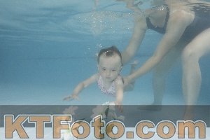 Photo 4264355