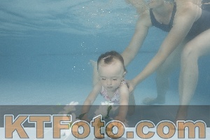 Photo 4264356