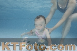 Photo 4264357