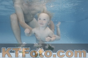 Photo 4264363