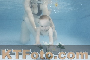 Photo 4264379