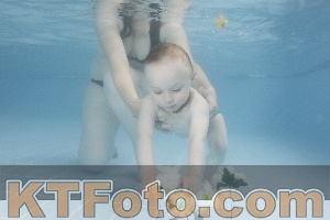 Photo 4264380