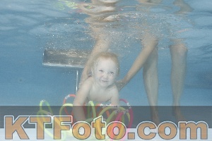 Photo 4264393