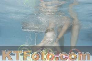 Photo 4264396