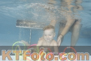 Photo 4264397