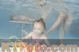 Photo 4264402