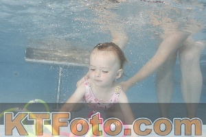 Photo 4264403