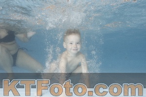 Photo 4264486