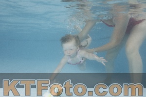 Photo 4264571