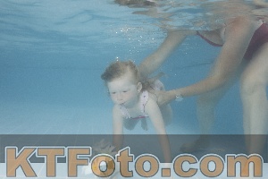 Photo 4264572