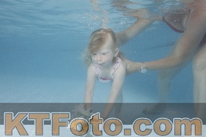 Photo 4264573