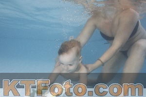 Photo 4264581