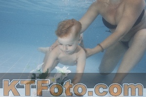 Photo 4264582