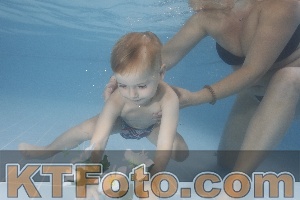 Photo 4264583