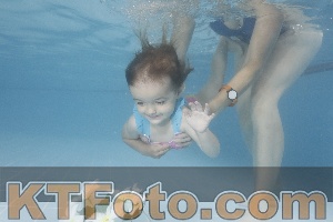 Photo 4264585